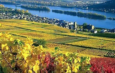 Gemuetliche Ferienhaushaelfte Im Herzen شقة ماينتس